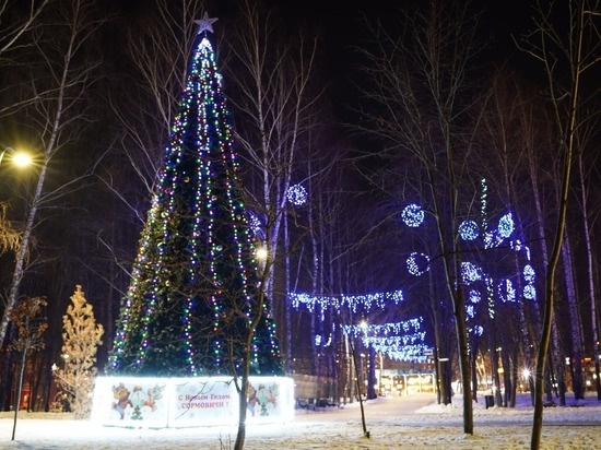 Более 155 елей украсят в Нижнем Новгороде к Новому году