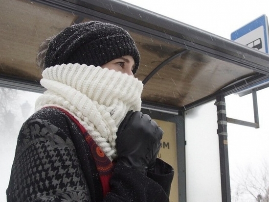 В Ярославле жители два часа ждали автобус на морозе