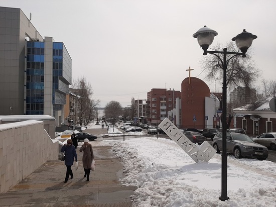К Новому году на саратовской набережной установят семиметрового оленя