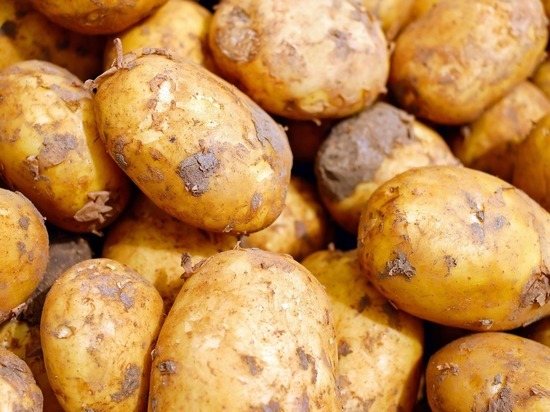 20 тонн свежего картофеля не пропустили через границу в Псковской области