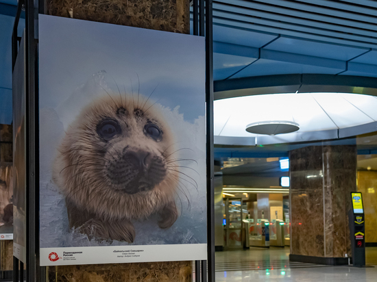 В метро Москвы выставлена экспозиция о Бурятии