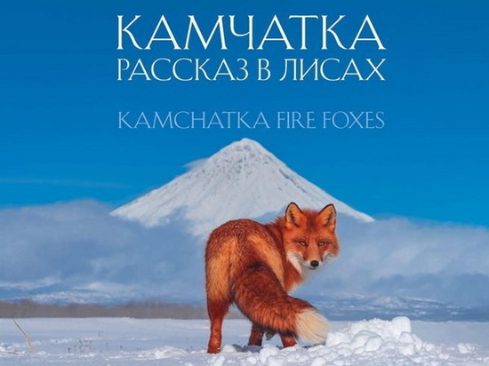 Брянский фотограф-анималист выпустил книгу о лисах Камчатки