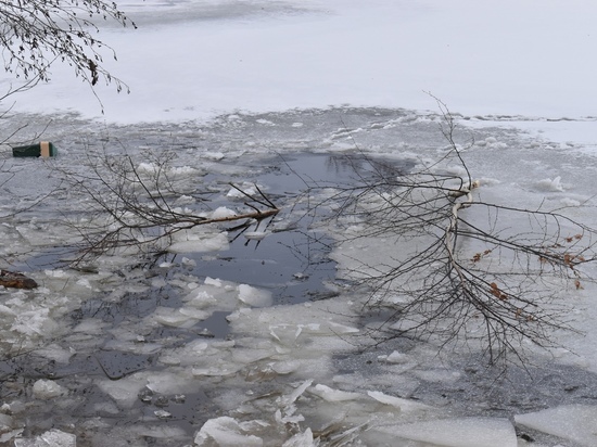 Пенсионерка провалилась под лед и утонула в пруду под Йошкар-Олой
