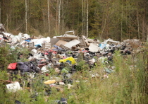 «Невский экологический оператор» подвел первые итоги конкурса по вывозу твердых коммунальных отходов в разных районах Петербурга