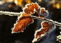 В ночь на среду, 24 ноября, температура воздуха в Белгородской понизится до 11 градусов мороза