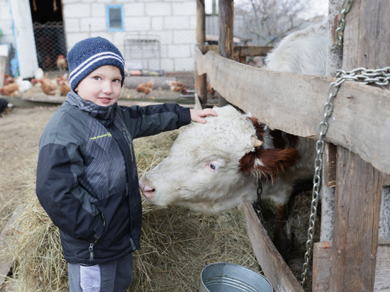 Белгородская семья расширила подсобное хозяйство благодаря соцконтракту