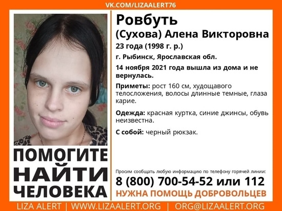 В Ярославской области пропала молодая мать двоих детей