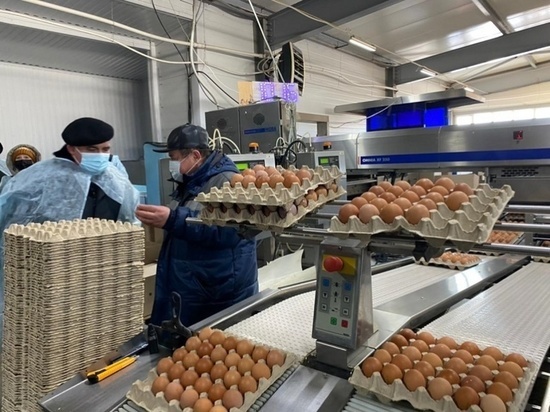 Буйская птицефабрика намерена в 2022 году нарастить производство яиц