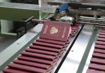 Основные документы россиян — паспорт, загранпаспорт, СНИЛС и ИНН — предложили объединить в один