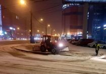 В ночь на среду, 24 ноября, в Петербурге выпал первый снег