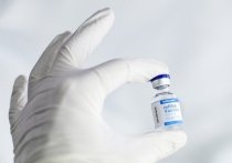 В Белгородской области первым компонентом вакцины от коронавируса привились 923 тысячи человек