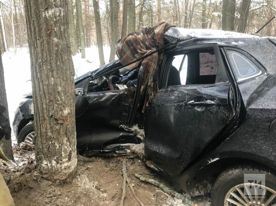 Автоледи в Татарстане погибла, влетев в дерево