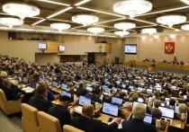 Члены Комитета Госдумы по обороне рекомендовали депутатам принять его в первом чтении