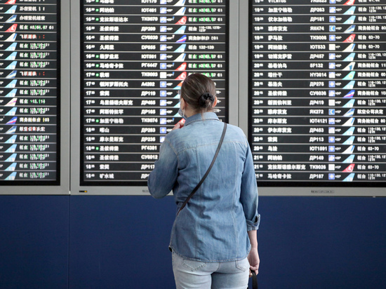 В аэропортах Москвы из-за метели отменены и задержаны десятки рейсов