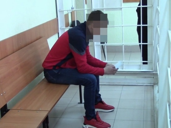 Суд отправил жителя Омска в СИЗО за кражи и поджог овощного киоска