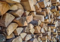 Заготовка дров рядом с населенными пунктами с каждым годом становиться проблематичнее