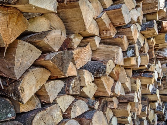 Минприроды заявили о проблемах с заготовкой дров в Забайкалье