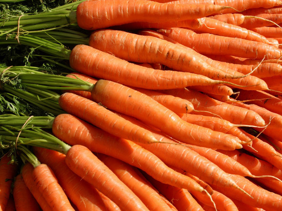 Диетолог рассказала, как правильно употреблять морковь