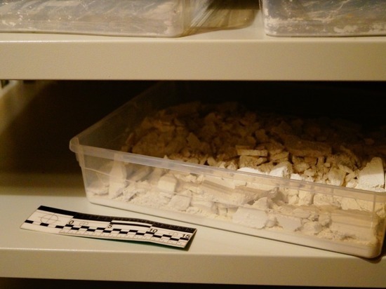 2,5 кг мефедрона нашли полицейские в нарколаборатории под Стругами Красными