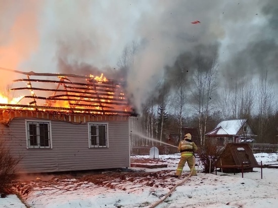 Огонь уничтожил садовый дом и хозпостройки в маловишерской деревне