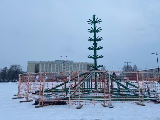 Новогоднюю ели начали собирать на Центральной площади Ижевска