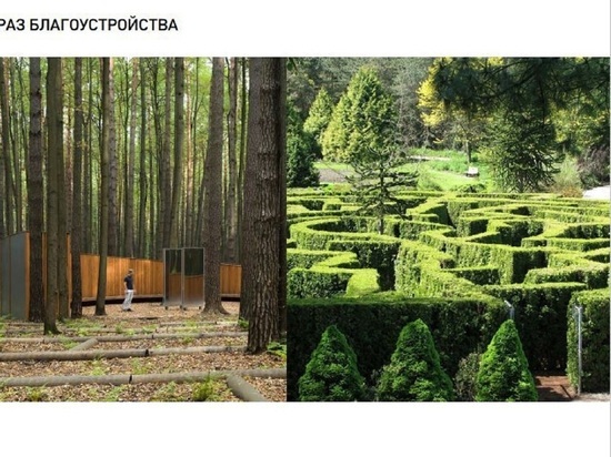 В Центральном парке Белгорода предлагают разбить декоративные сады и сделать зеленый лабиринт