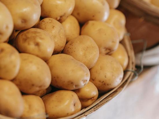 Картофель – продукт довольно привередливый, и особенно его "характер" проявляется в период хранения.