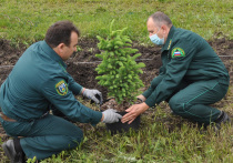 Белгородская область поддержала всероссийскую экологическую акцию «Сохраним лес»