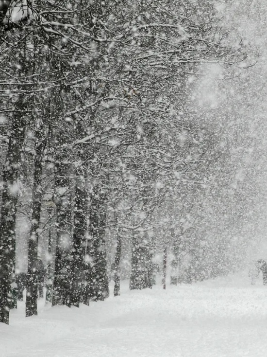 В Ярославль опять идут снегопады