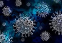 За прошлые сутки в Забайкалье выявлено 344 случая заражения коронавирусом, вылечен от этой болезни 371 человек, подтверждено 9 летальных случаев