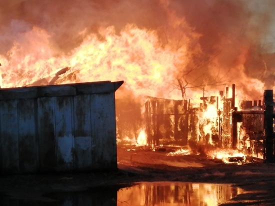 При пожаре в Бурятии погибли три поросёнка