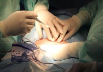 Улан-удэнец успешно перенес трансплантацию почки и через несколько месяцев сможет вернуться к полноценной жизни