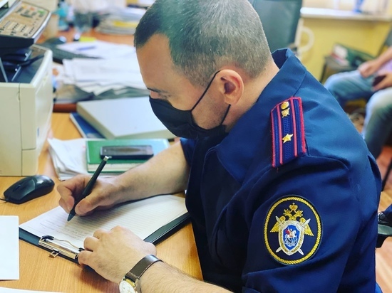 В Новгородской области будут судить бывшего главу деревни Вибити