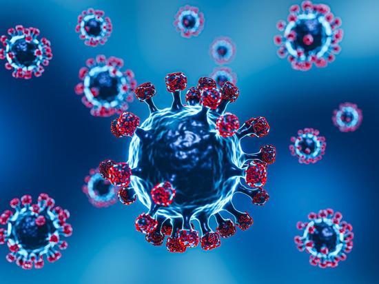 Новыми жертвами коронавируса в Хакасии стали 12 человек от 40 лет
