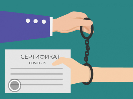 За поддельный сертификат о вакцинации жители Серпухова могут сесть в тюрьму