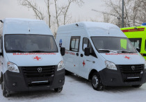 Благодаря меценату Хазрету Совмену в больницы Красноярского края поступят 13 спецавтомобилей, в том числе 2 вакциономобиля, шесть машин скорой помощи класса «B» и пять автомобилей класса «С» или реанимобилей