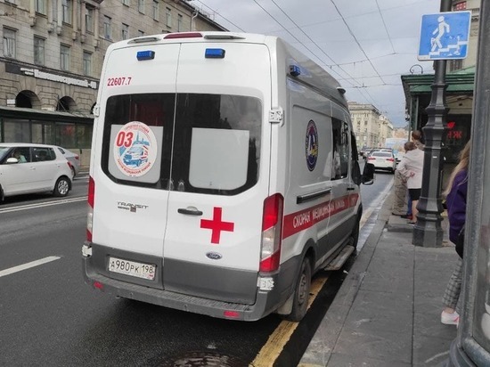 Иномарка на пешеходном переходе сбила женщину с четырехлетней девочкой в Калининском районе