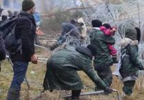 Официальный представитель Пограничной стражи Польши Анна Михальская рассказала об инциденте на польско-белорусской границе с мигрантами, при котором пострадал польский солдат