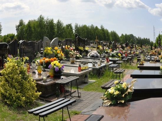 Девять незаконных кладбищ обнаружили в Омской области