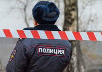 Подробности двойного убийства пенсионеров в частном доме в Волоколамске в середине ноября стали известны «МК»