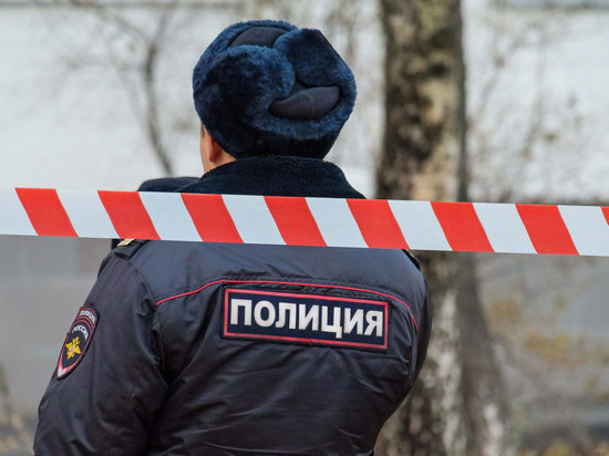 Раскрыто убийство четы пенсионеров в Волоколамске: бандит отомстил свидетелю обвинения