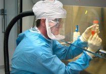 Министр здравоохранения Бельгии Франк Ванденбрук заявил в эфире телеканала LN24, что в стране подтвержден первый случай заражения новым южноафриканским штаммом коронавируса