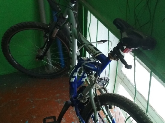 Житель Алексина украл велосипед