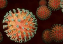 ВОЗ по итогам экстренного заседания по поводу обнаружения нового штамма коронавируса в ЮАР дала ему оценку и призвала увеличить масштабы вакцинации от ковида