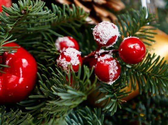 Главную новогоднюю елку Крыма передвинут