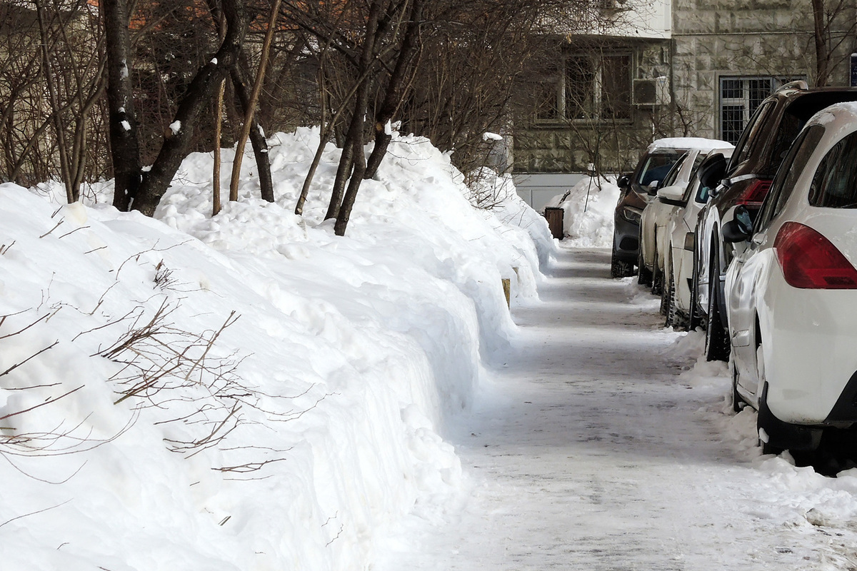 Снег 5 декабря. Декабрь без снега. Московский регион зимой. Похолодание в Подмосковье. В Москве похолодает.