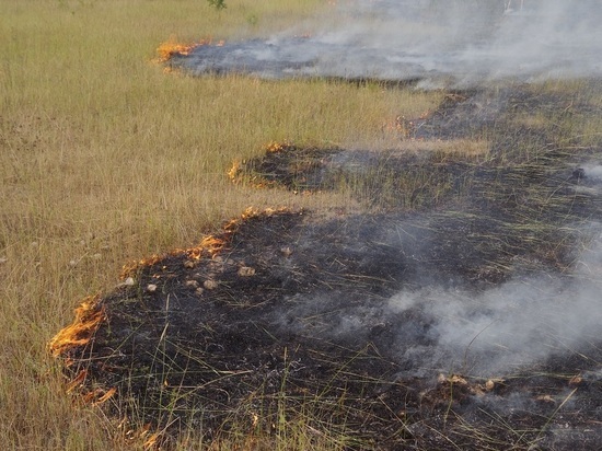 Забайкалец сжег шесть гектаров леса, выжигая сенокос
