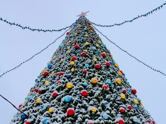 Главную новогоднюю елку Йошкар-Олы установят в середине декабря
