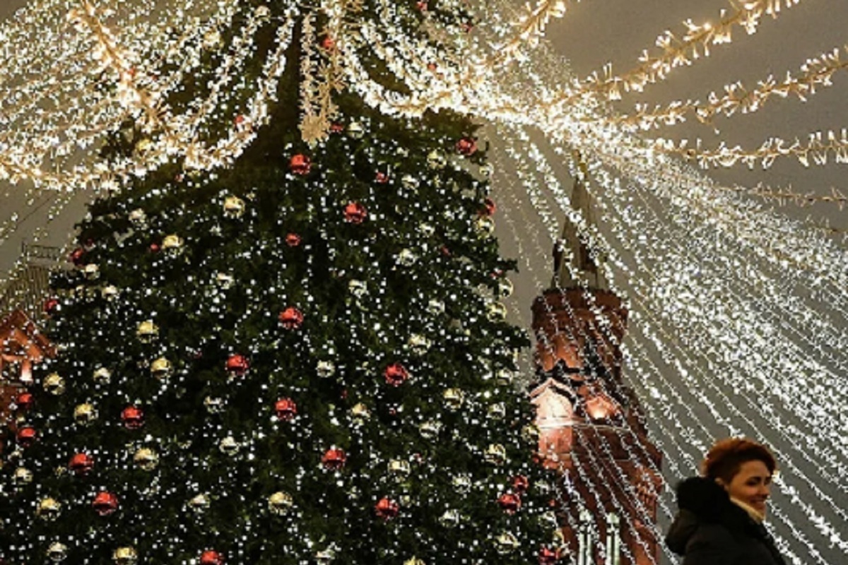 Новогоднюю ёлку для Йошкар-Олы сделают в Костроме