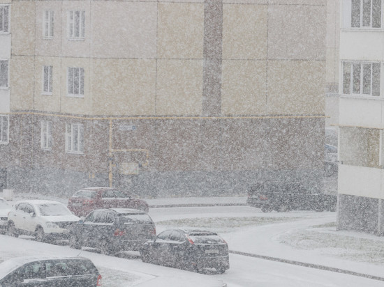 Мокрый снег прогнозируют в Псковской области 28 ноября
